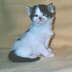 Rose als Baby