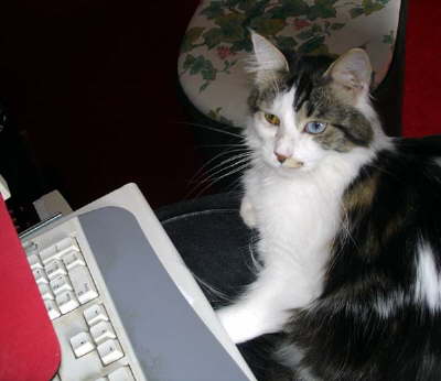 Rose schreibt E-Mail